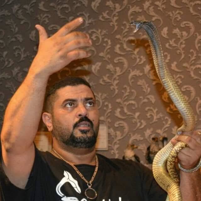 شاب سعودي يقهر  الثعابين السامة!